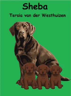 Sheba<br><span class="book-author">Tersia van der Westhuizen</span>